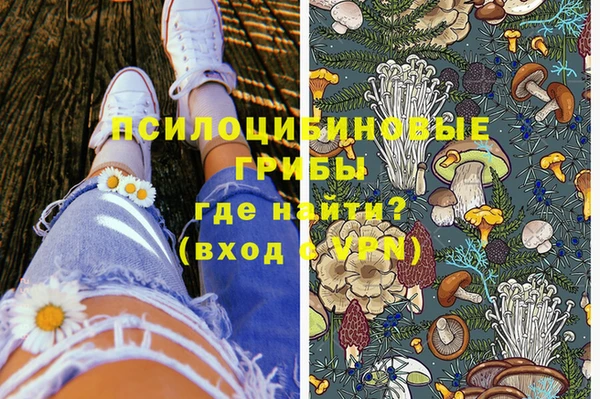 тгк Беломорск