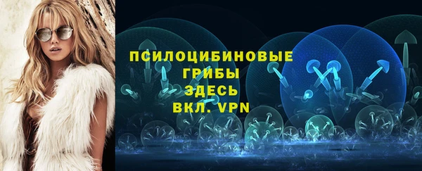 тгк Беломорск