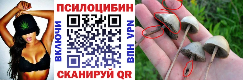 Галлюциногенные грибы MAGIC MUSHROOMS  Купить где  Шумиха 