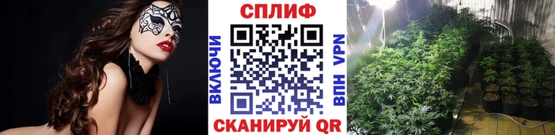Купить  Шумиха  Бошки марихуана Amnesia 